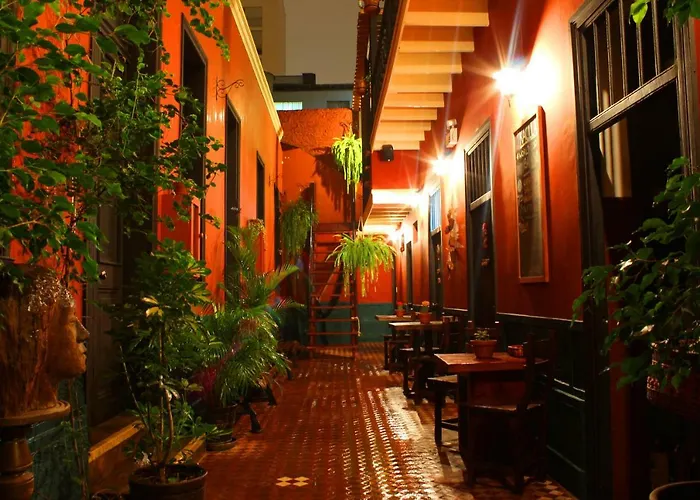 Kaclla, The Healing Dog Hostel