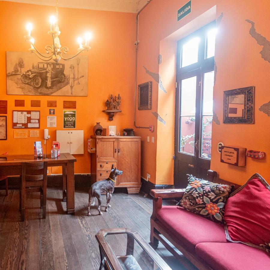 Hostal Kaclla, The Healing Dog *