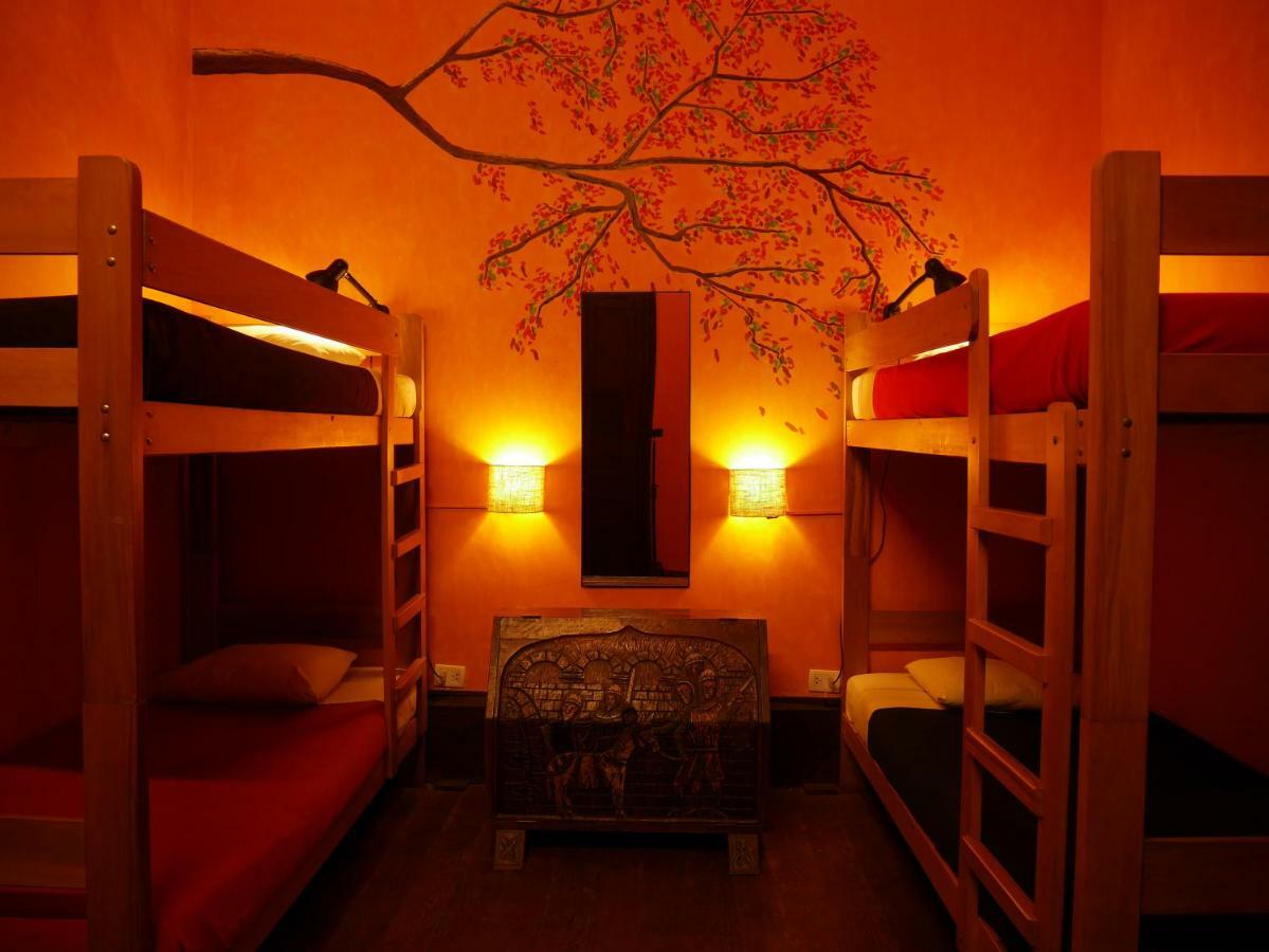Hostal Kaclla, The Healing Dog