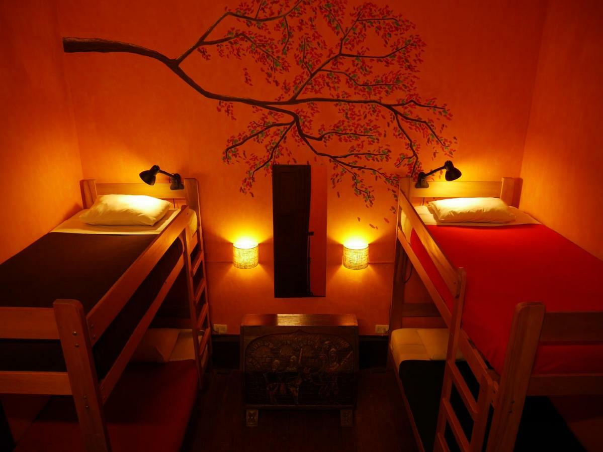 Kaclla, The Healing Dog Hostal Lima