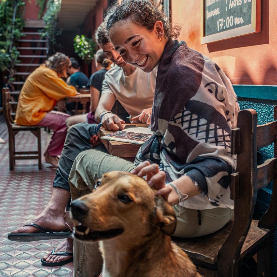 Hostal Kaclla, The Healing Dog Lima