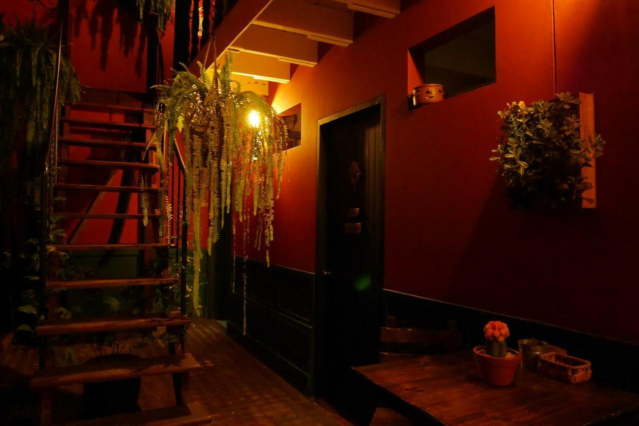 Kaclla, The Healing Dog Hostal Lima